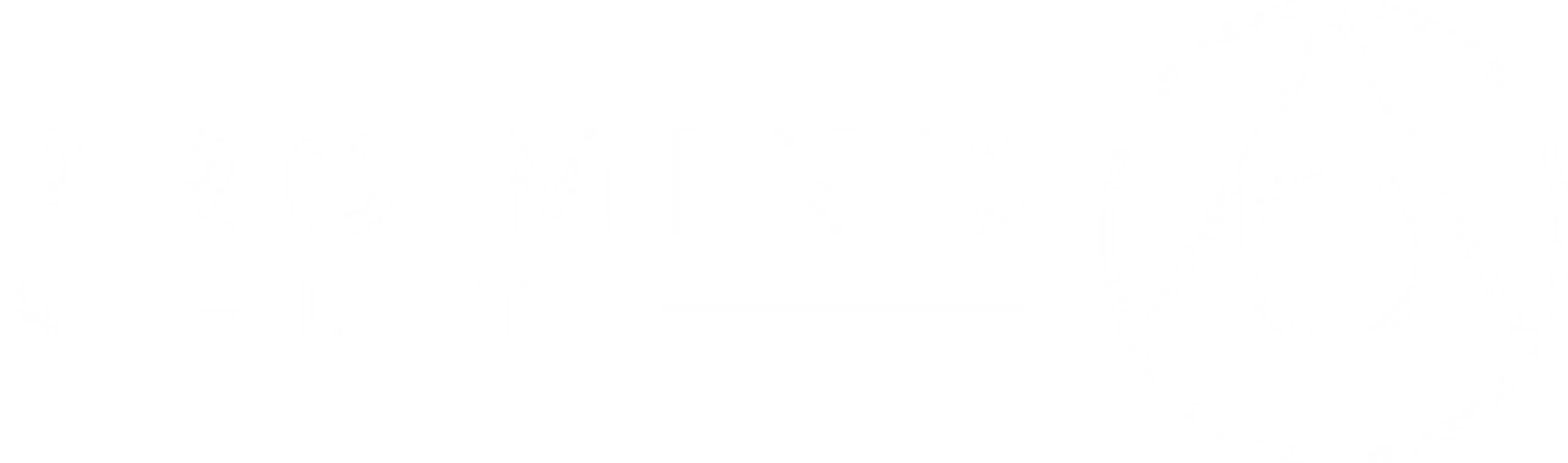 pro mind logo